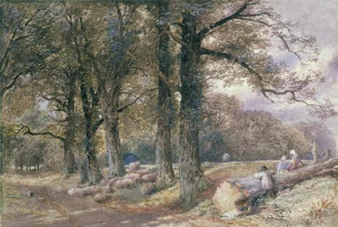 Kinderen zittend op boomstam